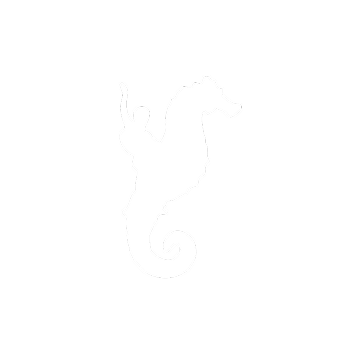 Vallarta Gay + Community Center