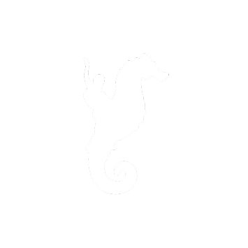 Vallarta Gay + Community Center