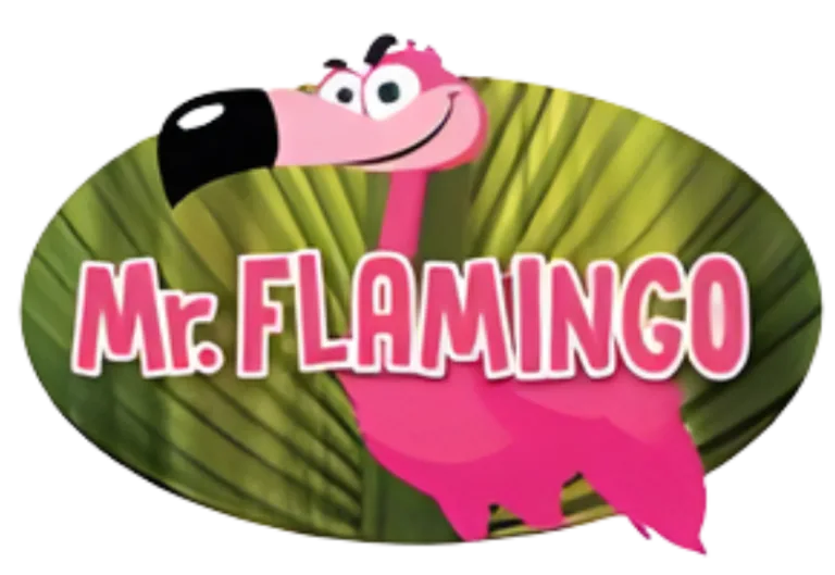 Mr flamingo